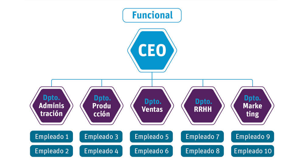 Estructura empresa Funcional