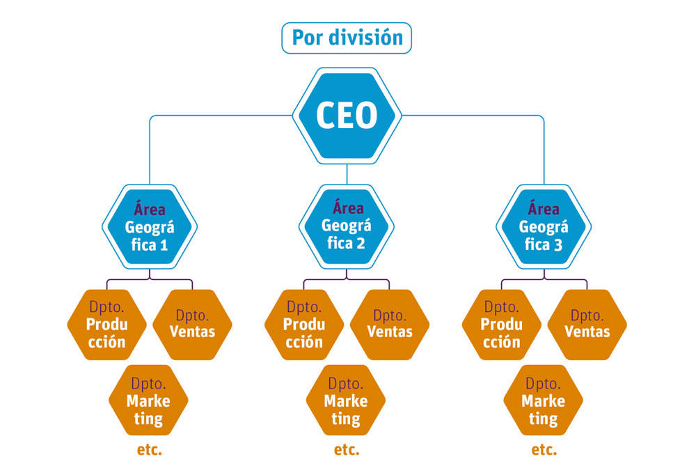 Estructura empresarial por división 