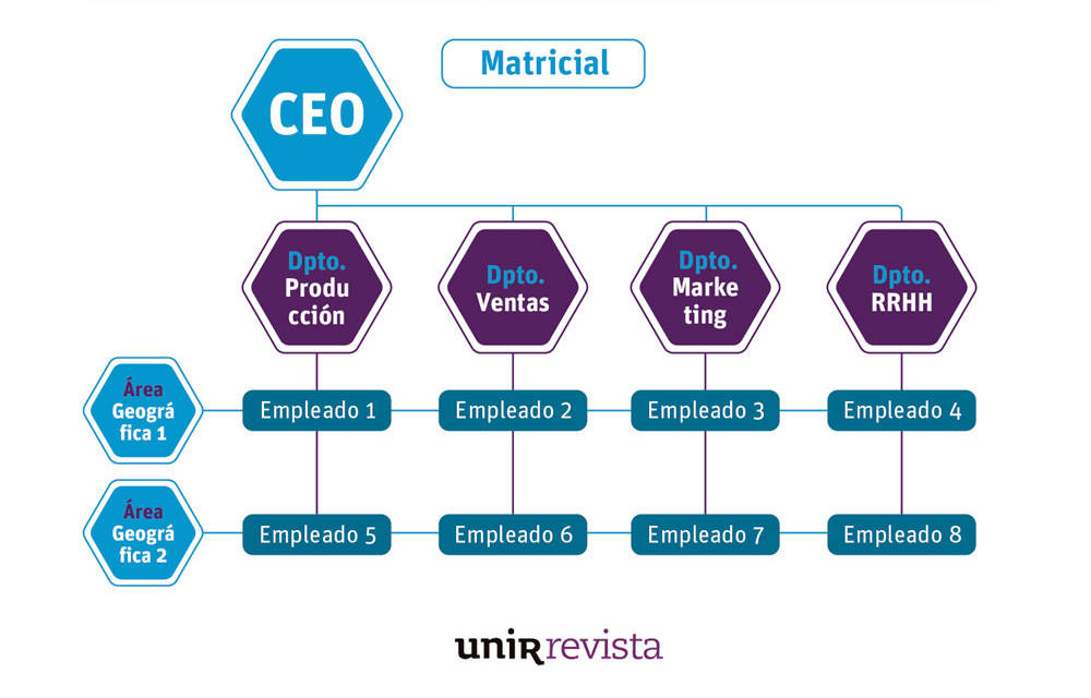 Estructura empresarial matricial